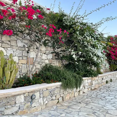 Natica Mare * Xerokampos (Crete)
