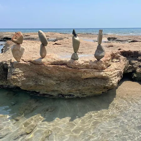 Natica Mare