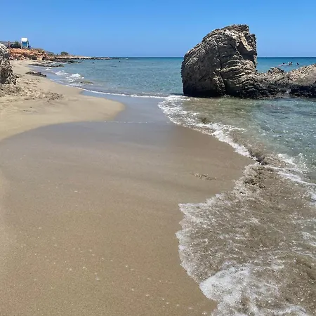 Natica Mare *