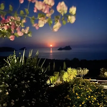 Natica Mare * Xerokampos (Crete)