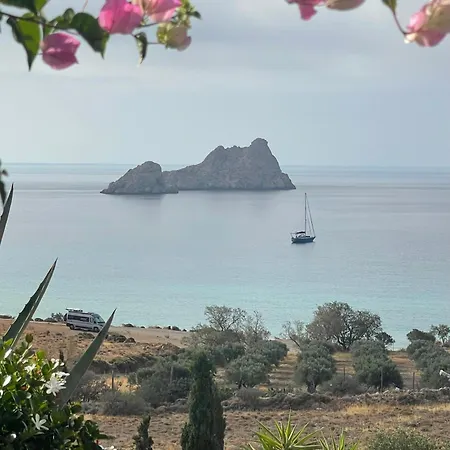 Natica Mare *